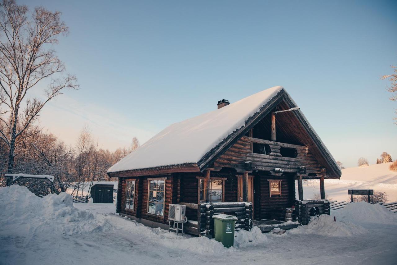 Otepää Nuustakumajad 빌라 외부 사진